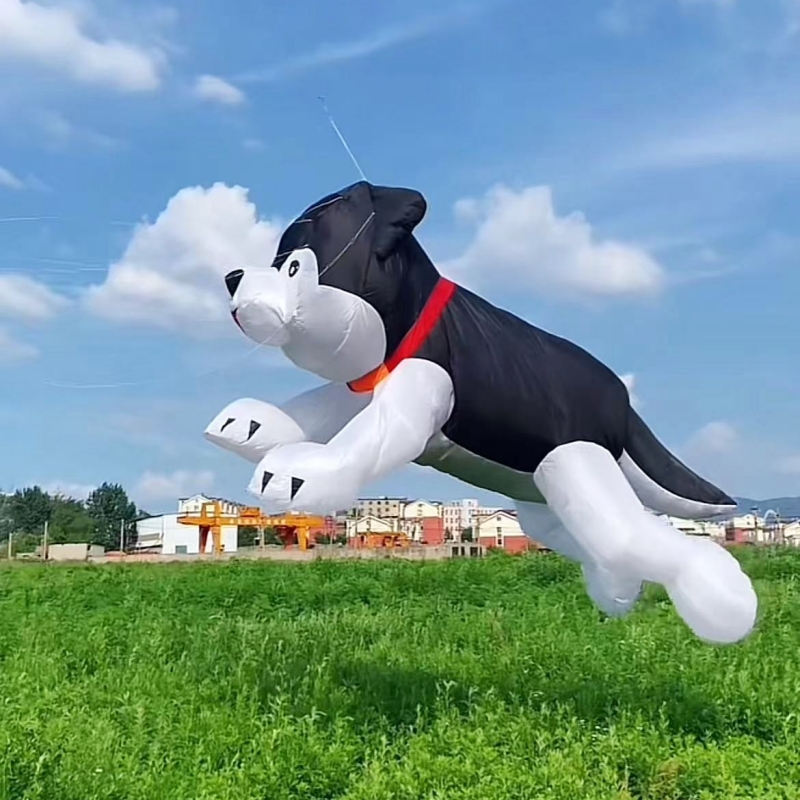 Giant kites flying inflatable  - Kite Wind Outdoor recension och pris
