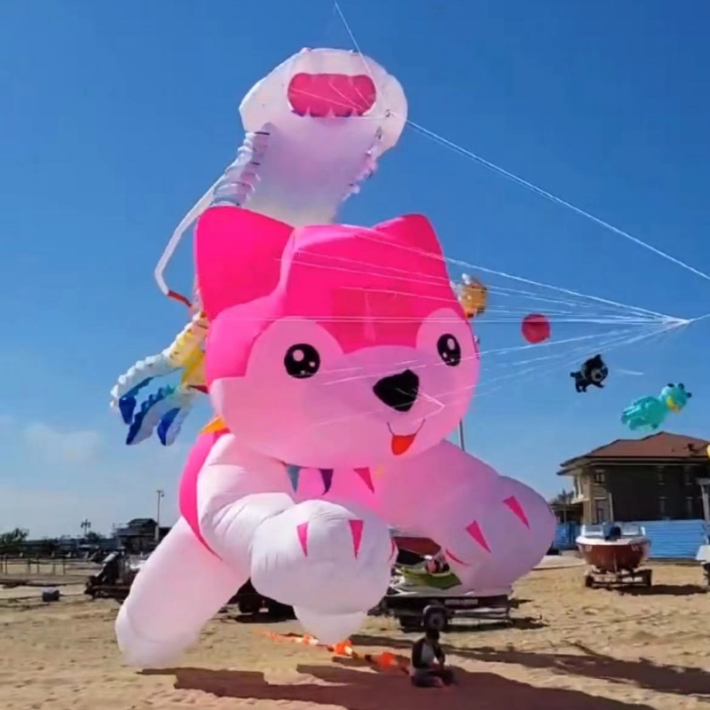 Giant kites flying inflatable  - Kite Wind Outdoor recension och pris