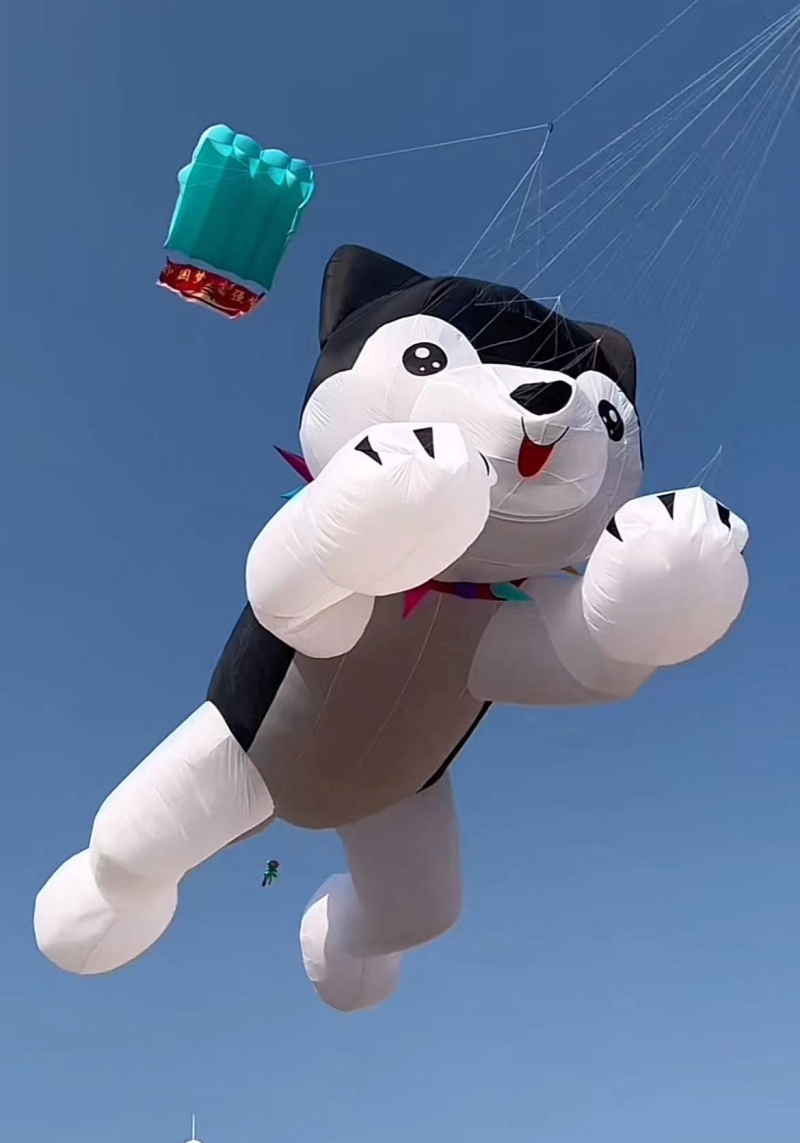 Giant kites flying inflatable  - Kite Wind Outdoor recension och pris