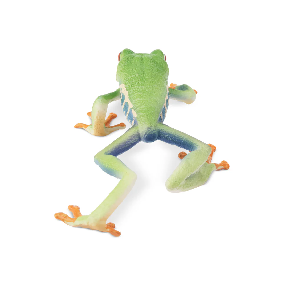 Toymany Simulation Red-eyed Tr - Kids Toys Under $5 recension och pris