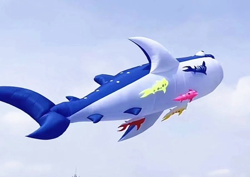 10m killer whale multi-color f - Kite Wind Outdoor recension och pris